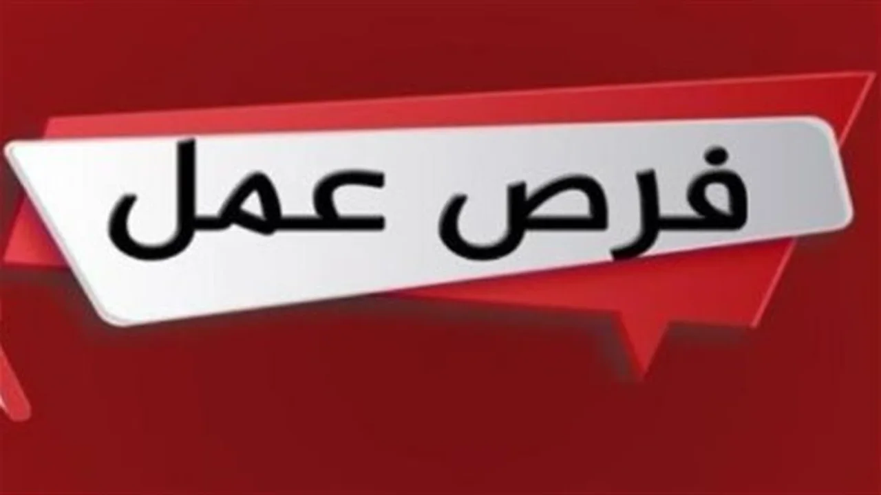 نصيب الموظفين.. 5 آلاف وظيفة جديدة لذوي الهمم ضمن نشرة التوظيف الأسبوعية